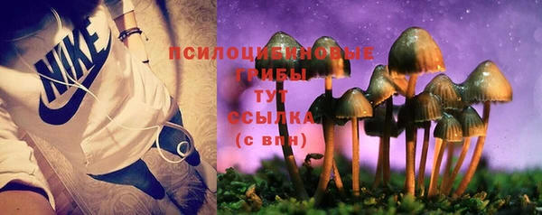 гидропоника Армянск