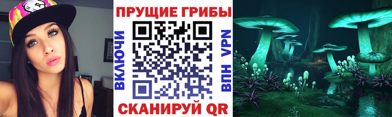 Галлюциногенные грибы прущие грибы  мега ТОР  Можга 