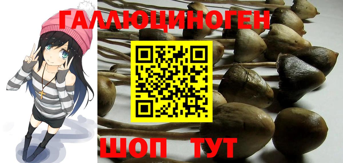 Можга  Псилоцибиновые грибы MAGIC MUSHROOMS  Галлюциногенные грибы Cubensis  наркота  Вход с VPN 